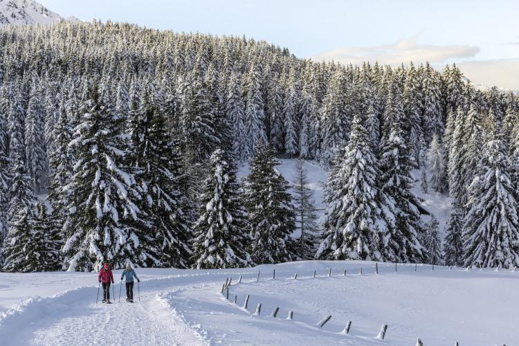 Hiking in the snow