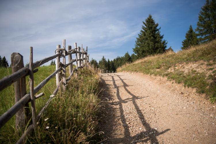 Hiking trail near Lana