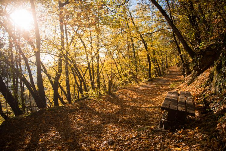 Hiking trail near Lana