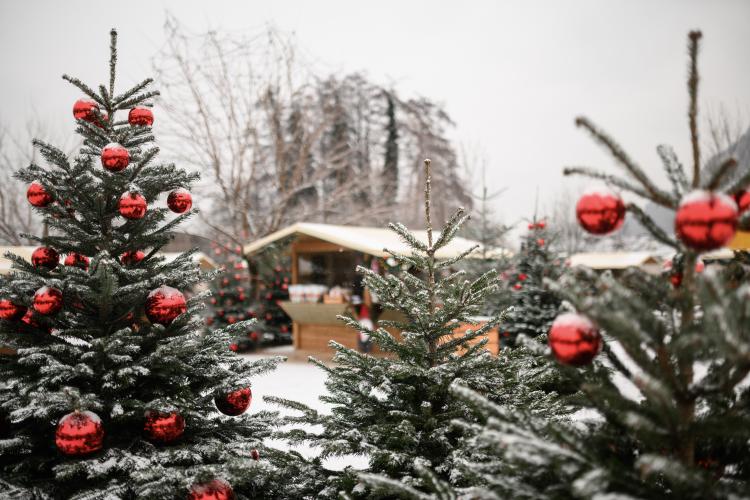 Sterntaler Weihnachtsmarkt