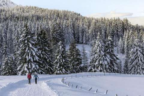 Hiking in the snow