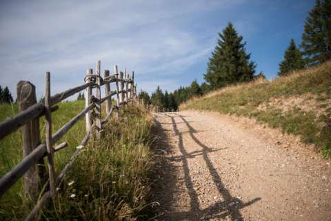 Wanderweg bei Lana