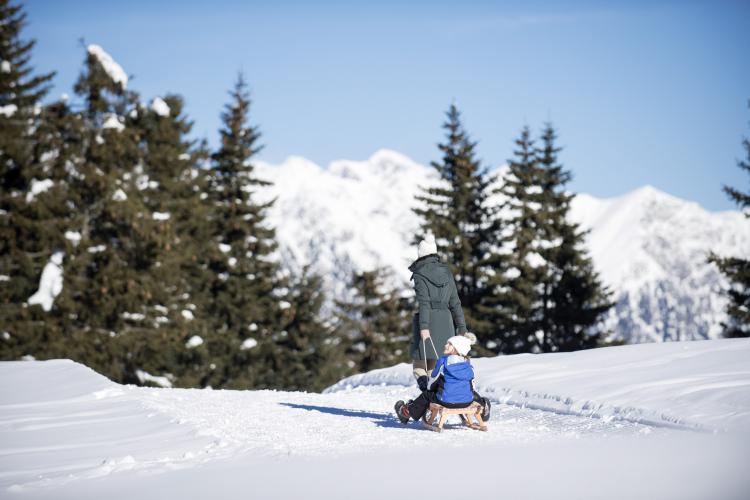 Schlittenfahren im Schnee