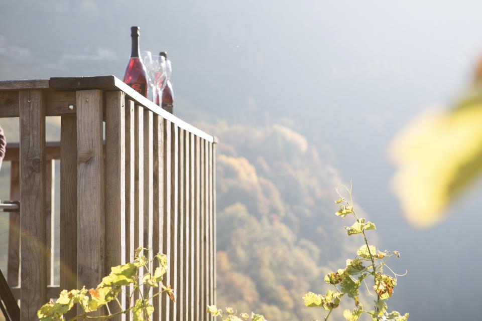 Maso vinicolo biologico Zollweghof