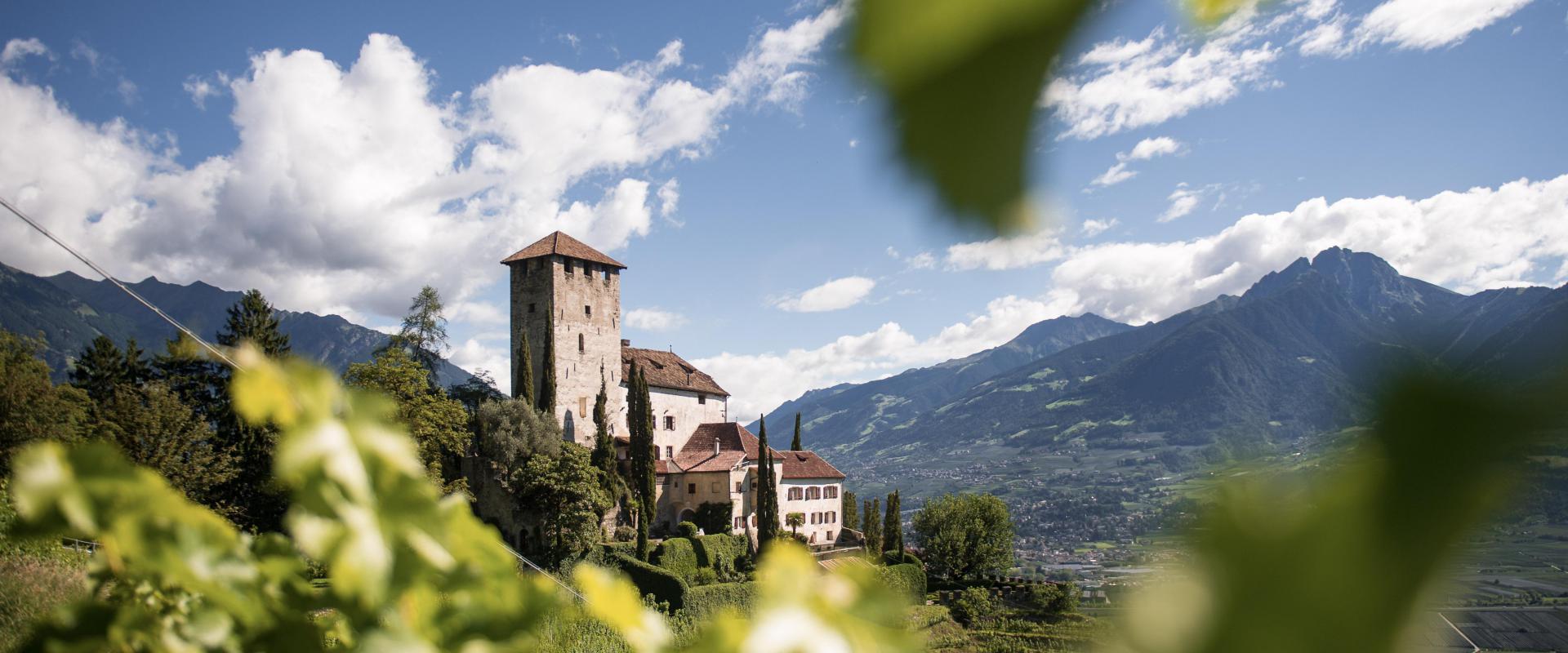 Castello Monte Leone presso Cermes